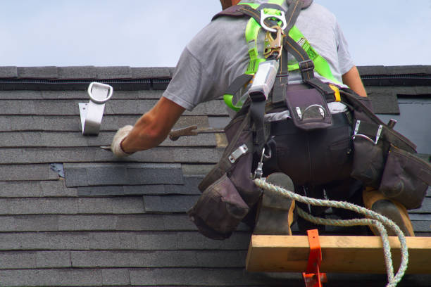 Best Roof Ventilation Installation  in Braidwood, IL