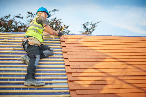 Best Roof Installation  in Braidwood, IL